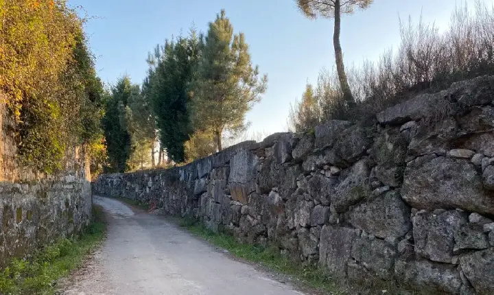 436 mil euros encontrados num muro em Penafiel ficam para o Estado