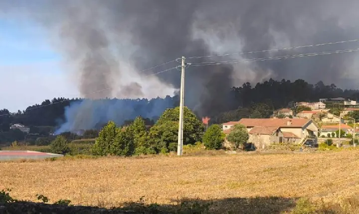 Paços de Ferreira: Proteção civil fez balanço dos incêndios